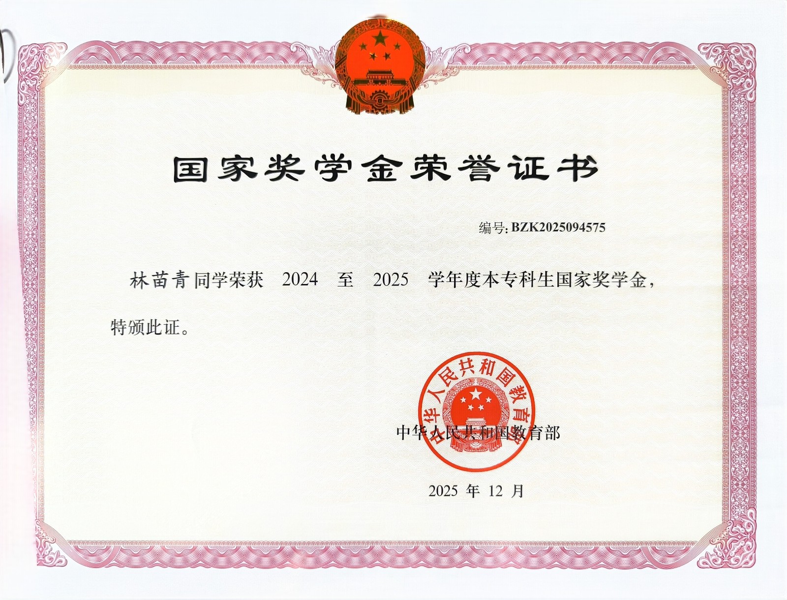 林苗青国家奖学金.jpg
